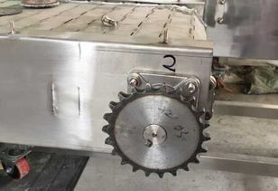 链轮 捷迅网带 生产各种链轮